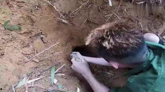 洞在线观看,揭秘神秘洞穴的奇幻之旅 第2张 洞在线观看,揭秘神秘洞穴的奇幻之旅 第2张